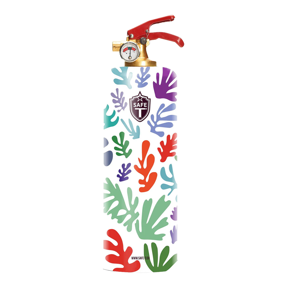 Matisse Fire Extinguisher and Bracket