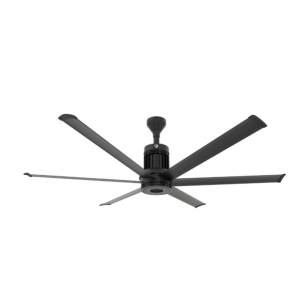 oomph for i6 Fan - Black