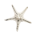 Warm Silver Starfish